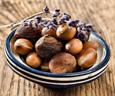 A Miracle from the Moroccan Desert – Argan Oil