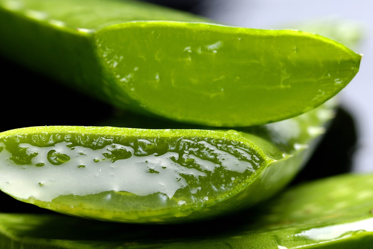 Versatile Aloe Vera
