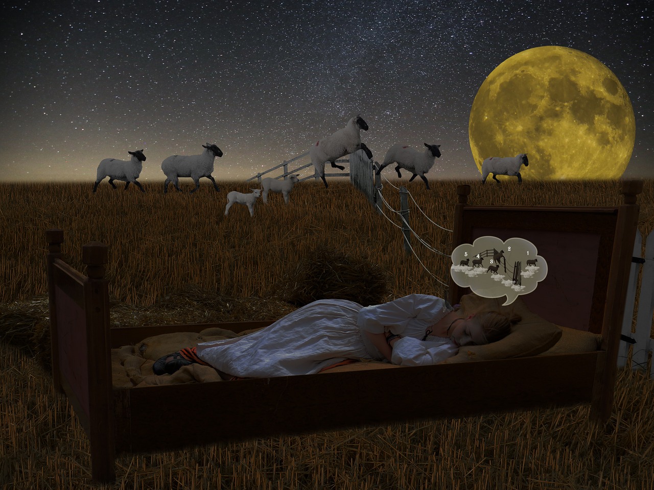 Battling to sleep? – Let Essential Oils Help