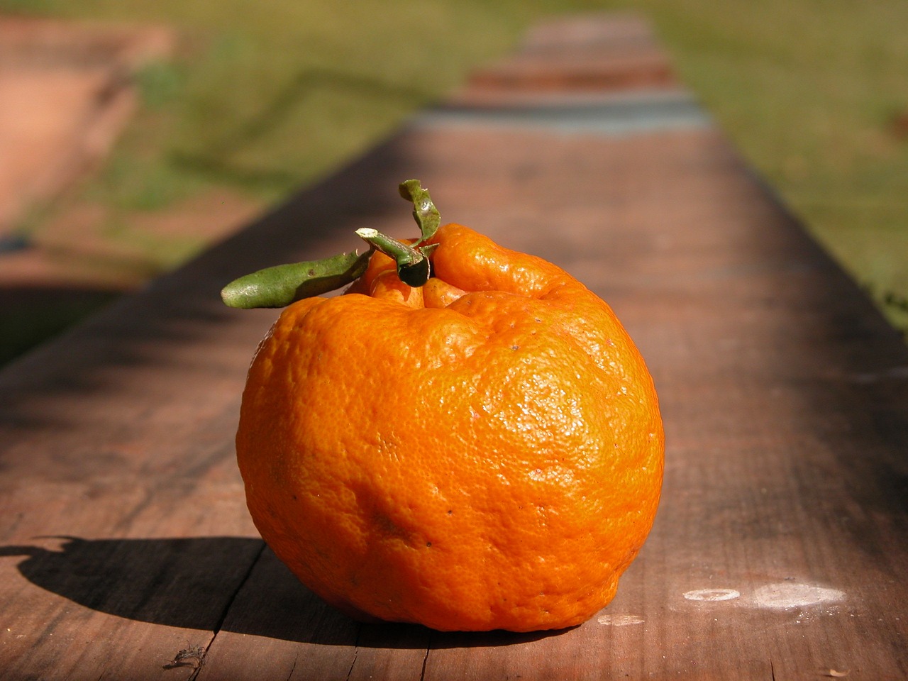 Sweet Yet Spicy Bergamot