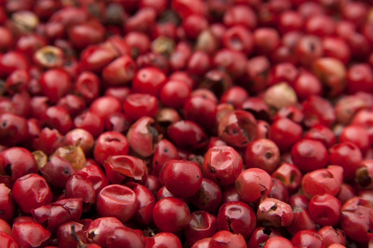 GOJI BERRIES – and their benefits